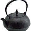 Ikenaga Nambu Cast Iron Tetsubin Kettle Nozomi