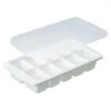 ASVEL Polypropylene Ice Tray 10 Pcs
