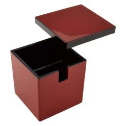 Fukui Craft ABS Resin Sushi Gari Pickled Ginger Container -Kitchen Supplies FukuiCraftABSResinSushiGariPickledGingerContainer 4