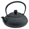 Ikenaga Nambu Cast Iron Tetsubin Kettle Houju