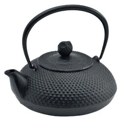 Ikenaga Nambu Cast Iron Tetsubin Kettle Houju