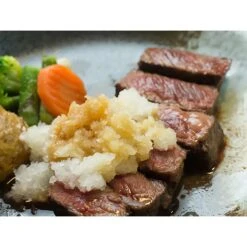 Nonoji ABS Resin Daikon Radish Grater With Container -Kitchen Supplies NonojiStainlessSteelRadishGraterLDS 02 5