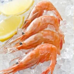 Swan Aluminium Manual Ice Crusher -Kitchen Supplies SwanAluminiumManualIceCrusher 3 9ea904ae eac4 4524 95ee 346b19edcade