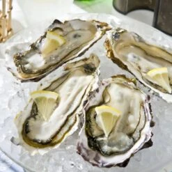 Swan Aluminium Manual Ice Crusher -Kitchen Supplies SwanAluminiumManualIceCrusher 4 c19e3ab1 364e 4552 94fb f79454a500a4