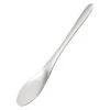Takayama Stainless Steel Ice Cream Spade