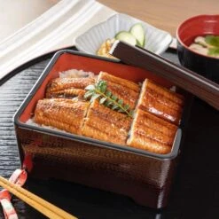 Wakaizumi Shikki Heat Resistant ABS Resin Donju Jubako Box -Kitchen Supplies WakaizumiShikkiHeatResistantABSResinDonjuJubakoBox 3